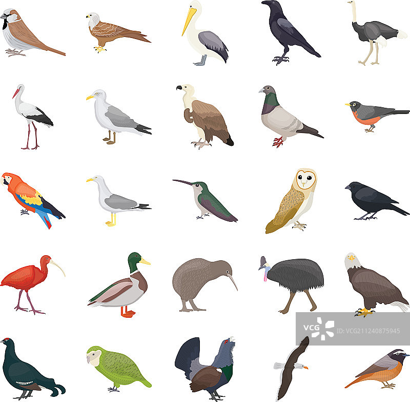 鸟类扁平图标图片素材