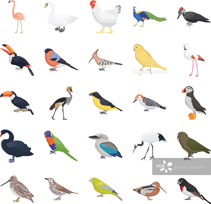 扁平风格鸟类图标包图片素材