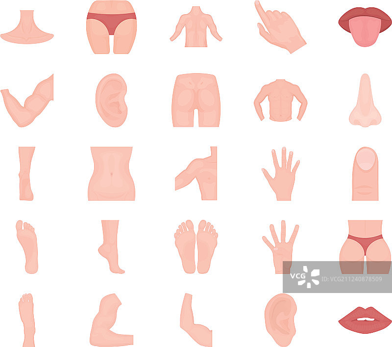 人体部位扁平图标包图片素材