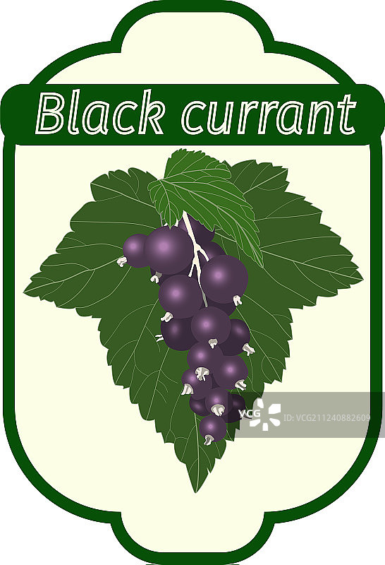 黑醋栗标签图片素材