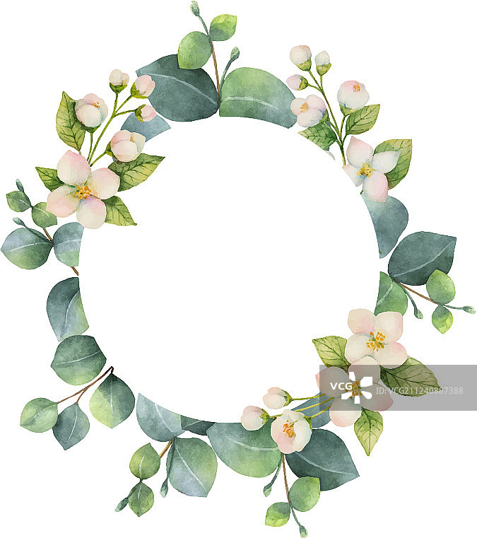 绿色桉树水彩花环图片素材
