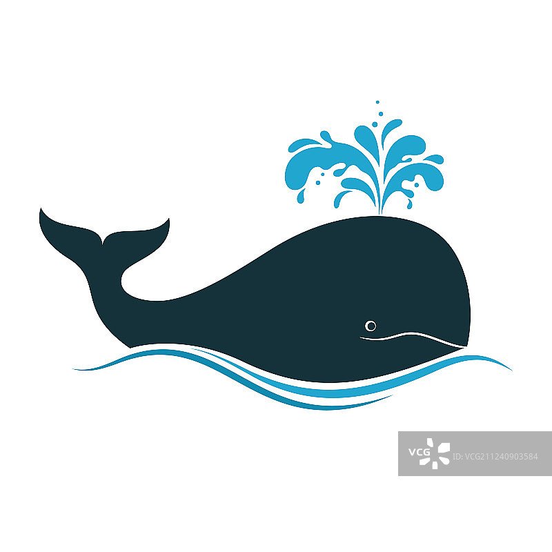 鲸鱼图片素材