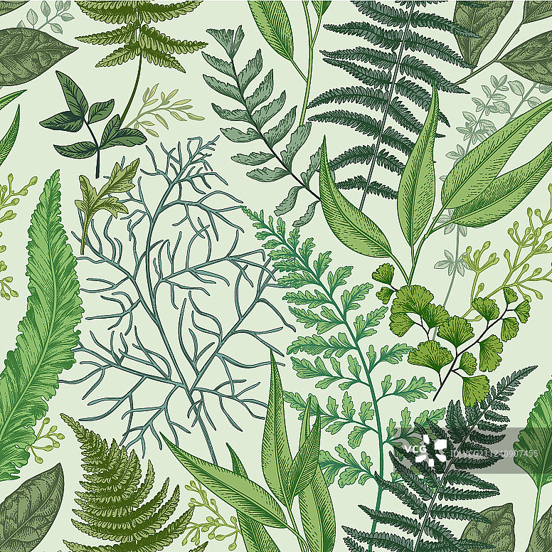 有叶子的无缝图案图片素材