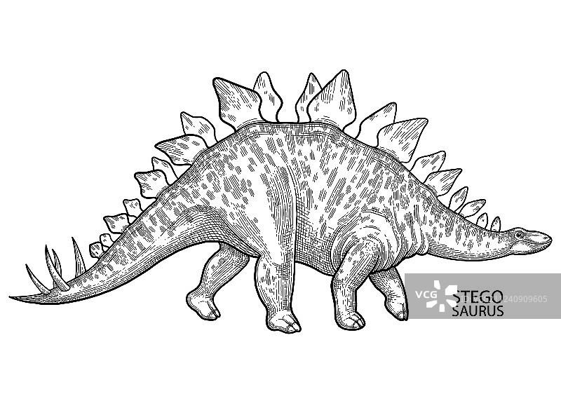 逼真的图形恐龙图片素材