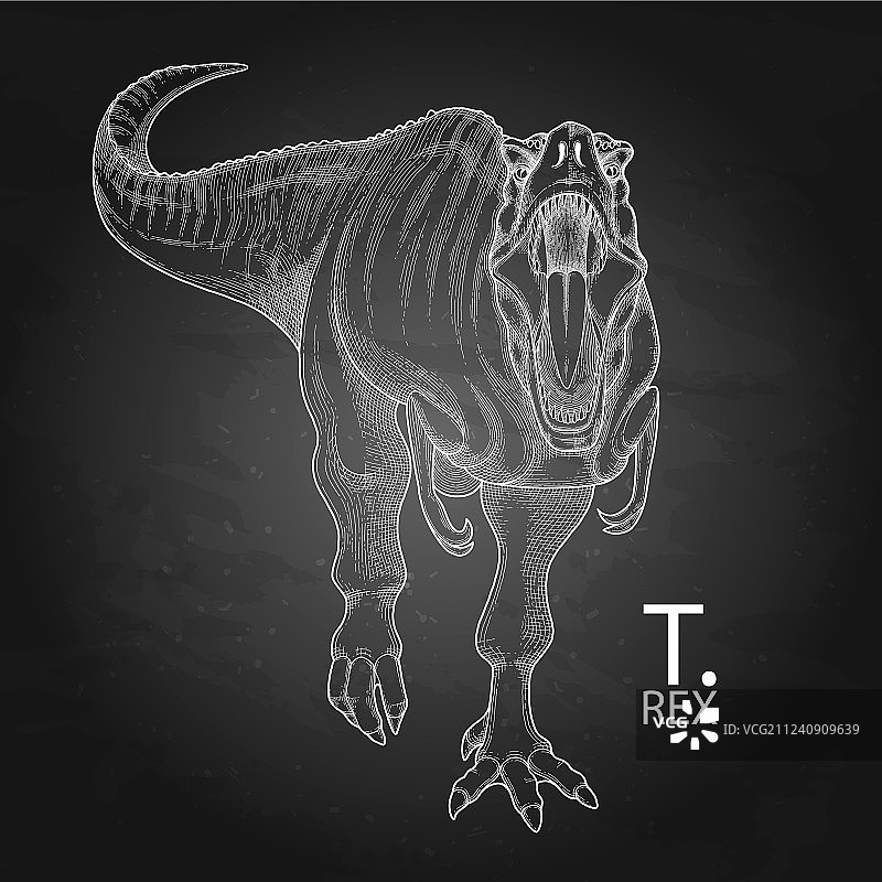 逼真的图形恐龙图片素材