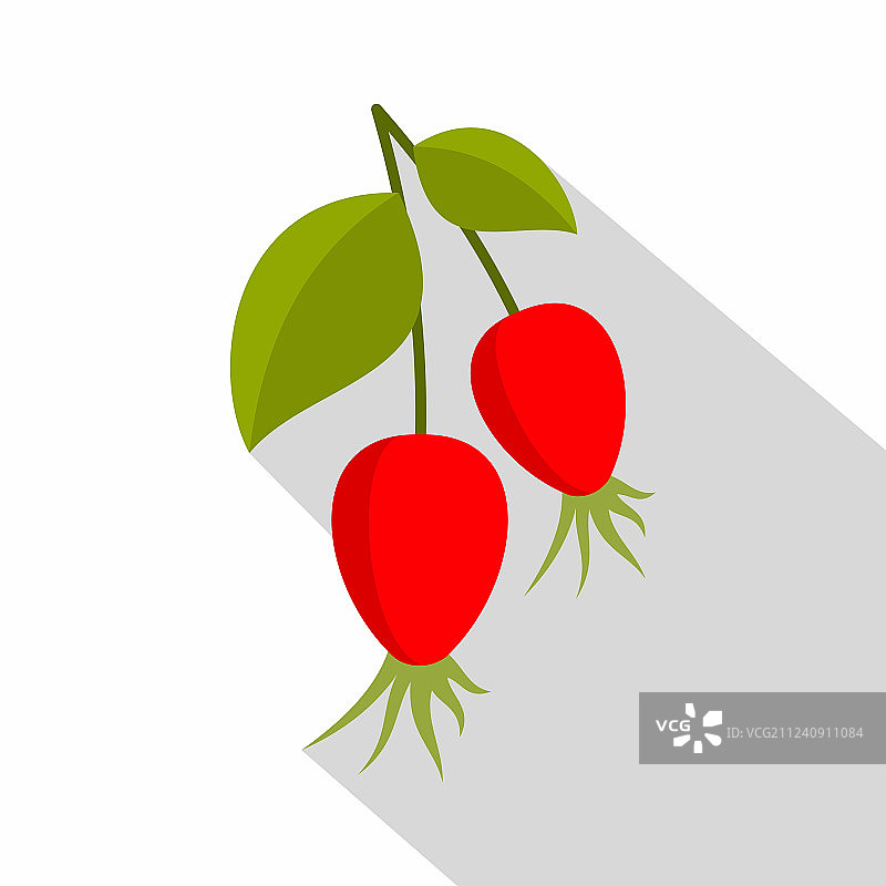 扁平风格的成熟犬蔷薇果图标图片素材