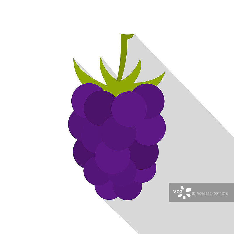 扁平风格的新鲜黑莓图标图片素材