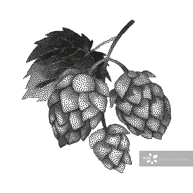 点画风格的啤酒花枝图片素材