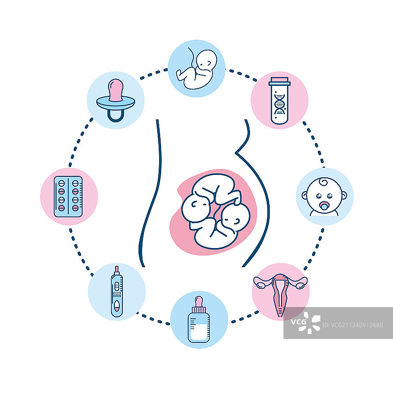 妊娠受精生物学过程图片素材
