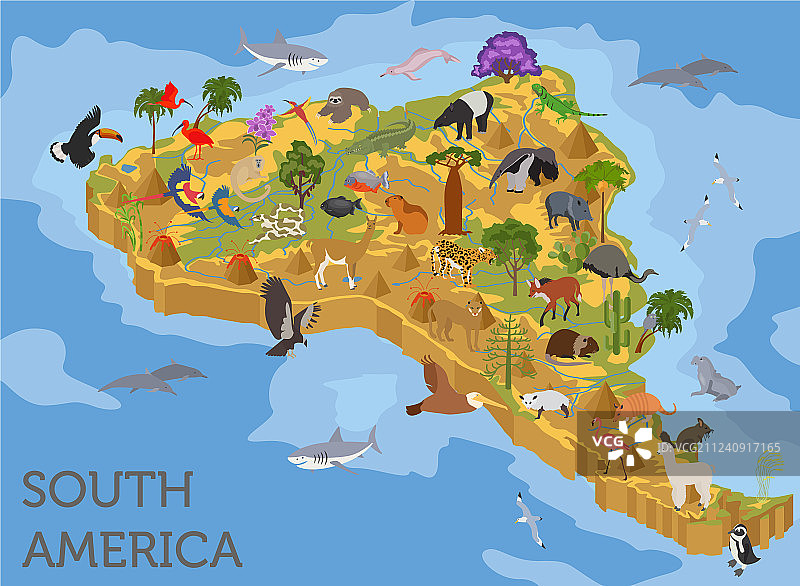 2.5D南美洲动植物地图图片素材