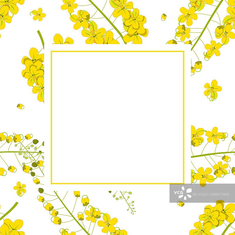 腊肠树 - 金色花朵banner卡片图片素材