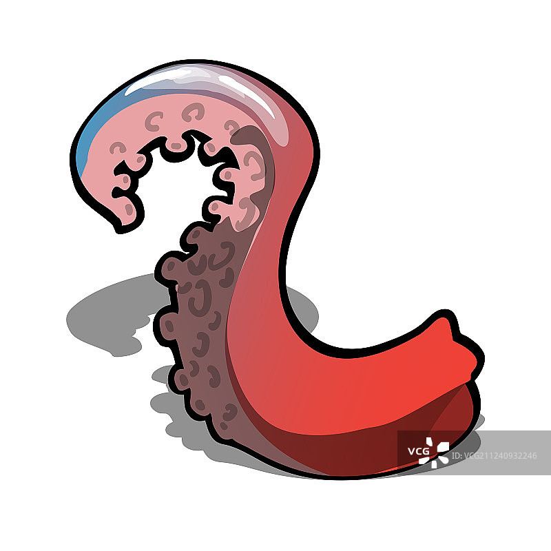 白色背景上孤立的红色章鱼触手图片素材