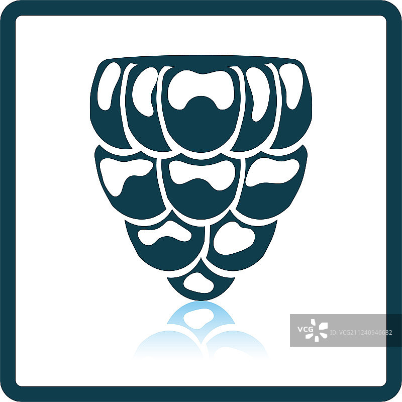 覆盆子图标图片素材