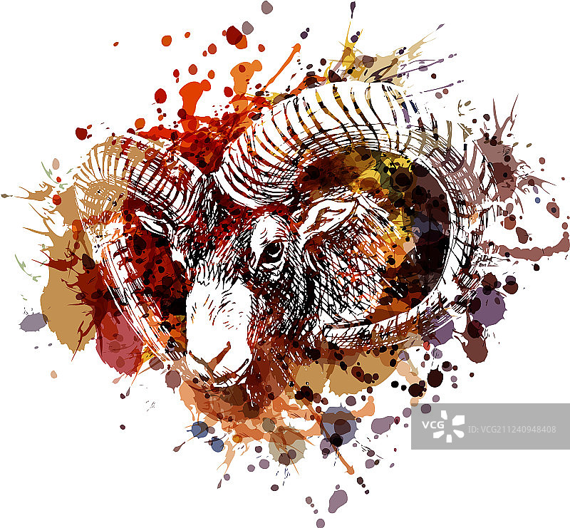 彩色盘羊头部图片素材