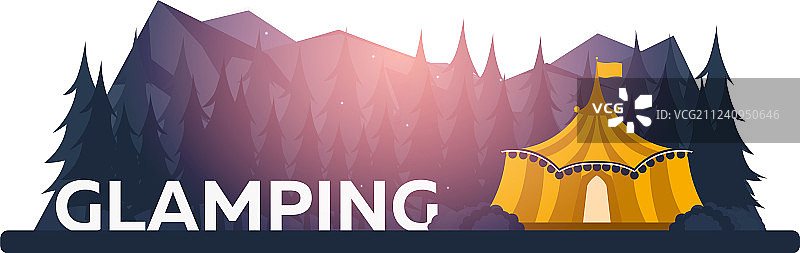 豪华露营：篝火旁的松树林图片素材