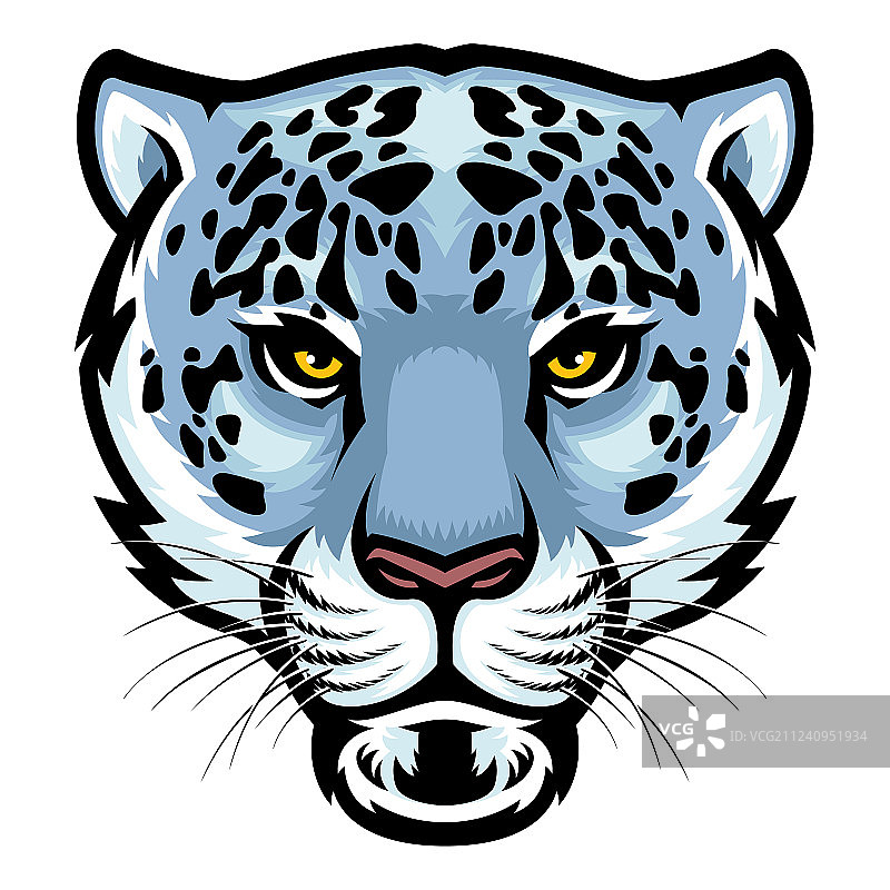 雪豹头部图片素材