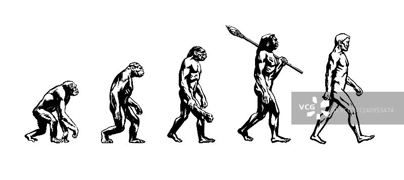 人类进化图片素材