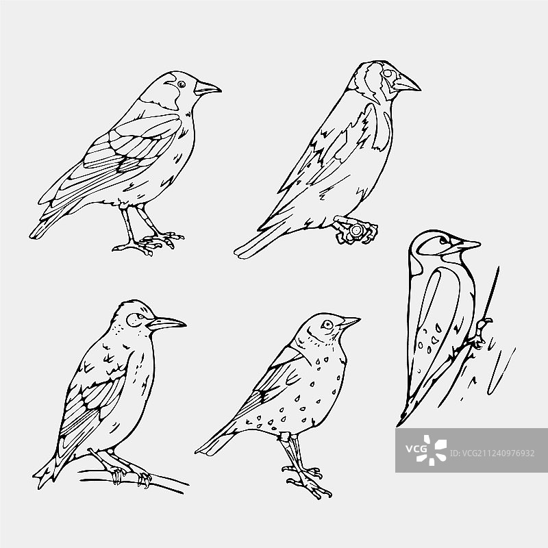 鸟类雕刻风格印章简笔画图片素材