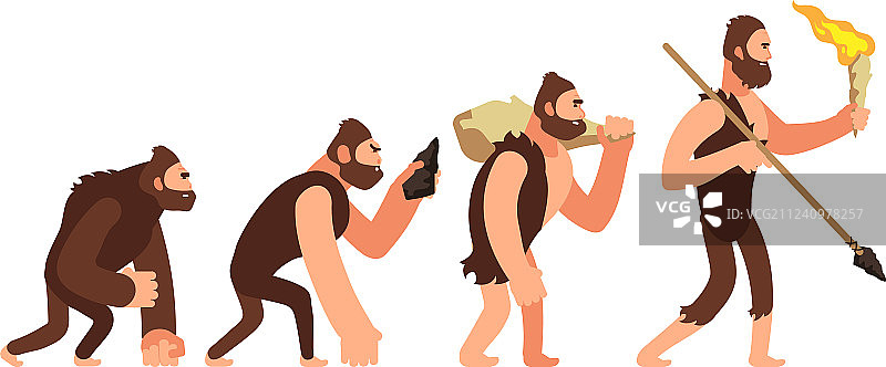 人类进化发展阶段理论图片素材