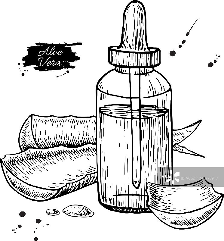 瓶装芦荟汁手绘图片素材