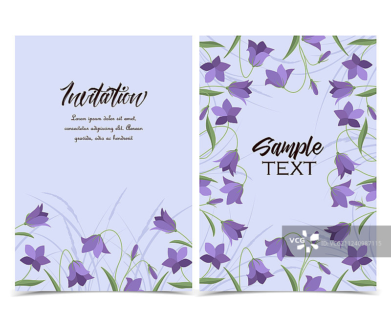 夏季花卉风铃草图片素材