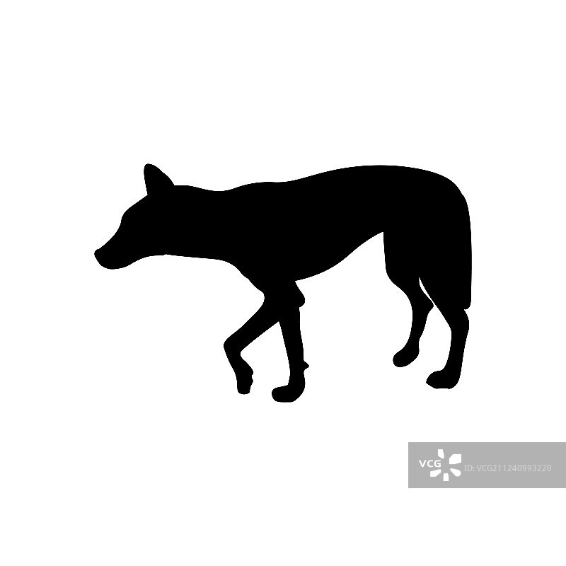 澳大利亚野狗剪影图片素材