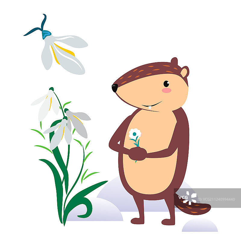 可爱的土拨鼠庆祝土拨鼠日设计图片素材