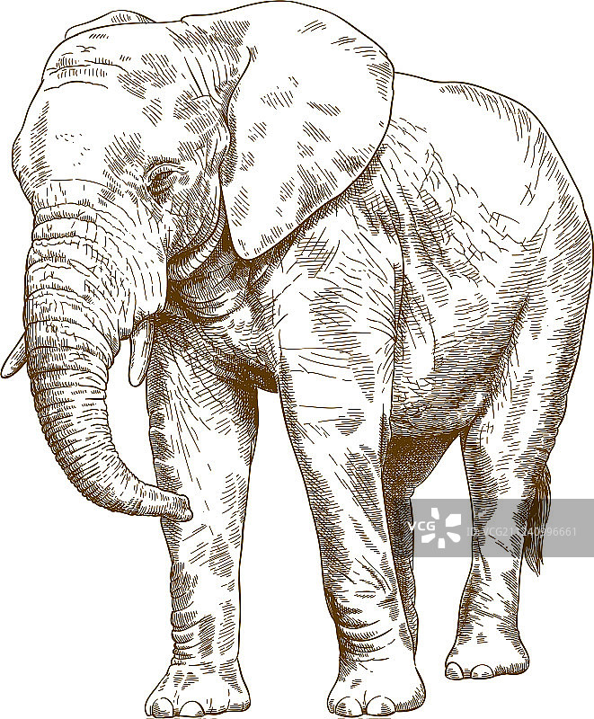 大象雕刻画图片素材