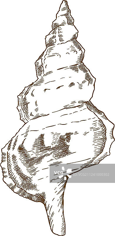 贝壳雕刻图片素材