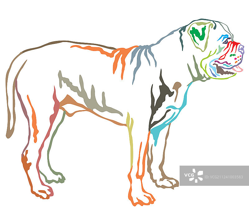 布尔犬彩色装饰站立肖像图片素材