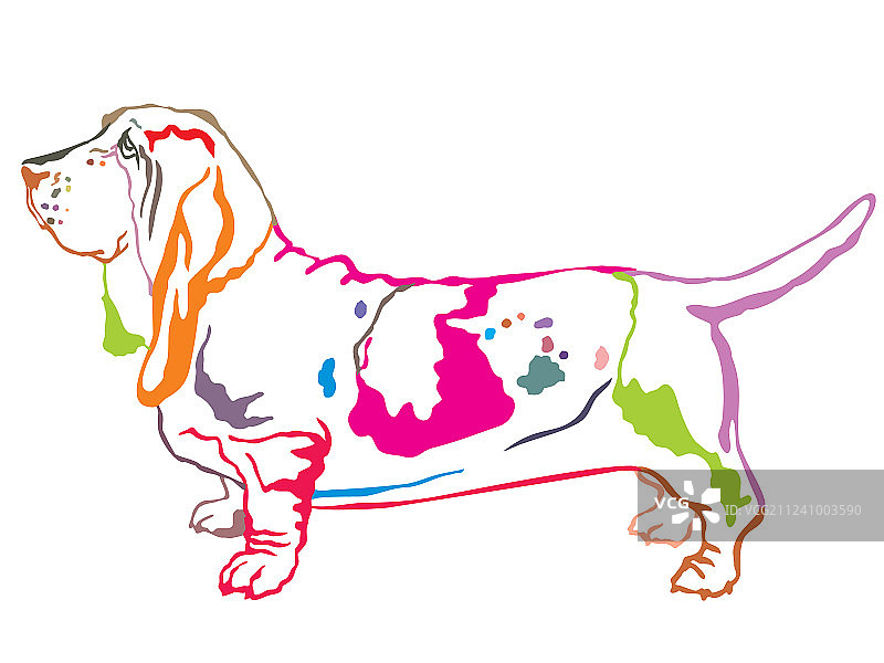 彩色装饰巴吉度犬站立肖像图片素材