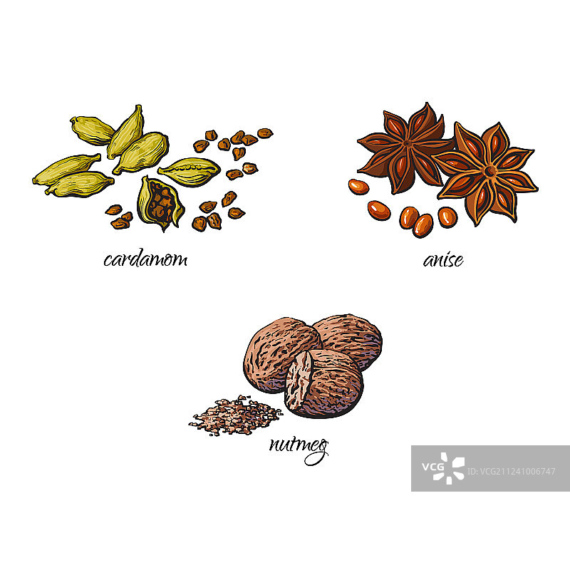 扁平手绘香料调味品草药套装图片素材