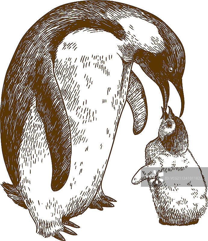 帝企鹅与雏鸟的雕刻画图片素材