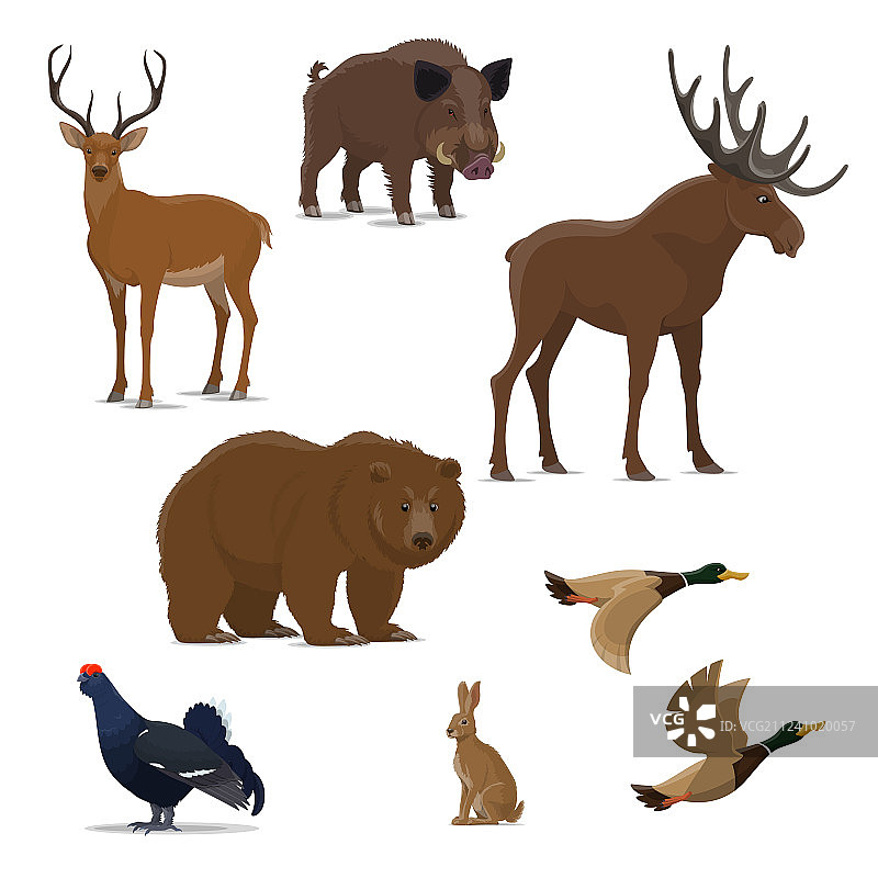 狩猎运动的野生森林动物和鸟类图标图片素材