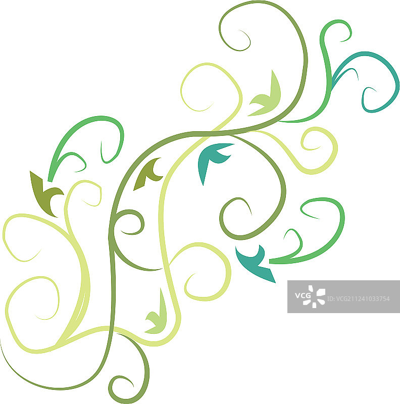 最佳藤蔓图片素材