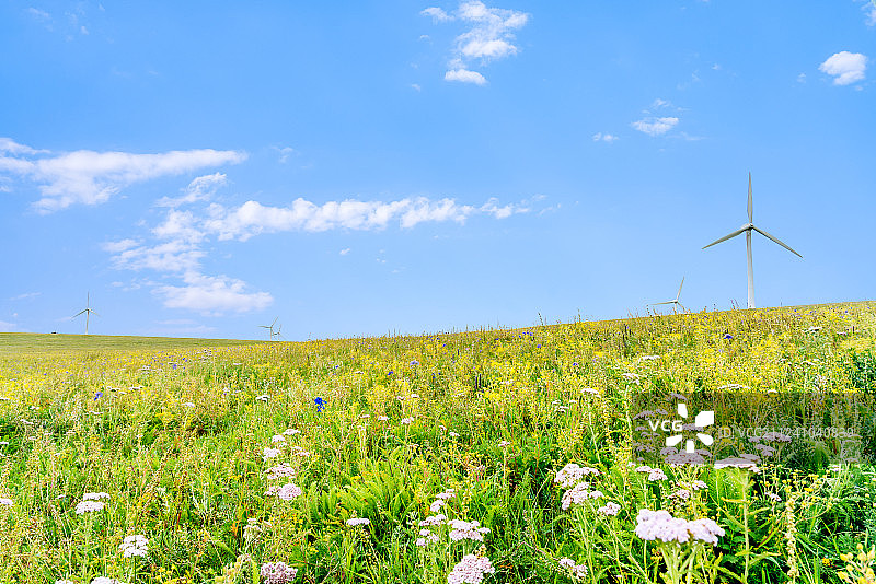 中国内蒙古辉腾锡勒草原上的风电场图片素材
