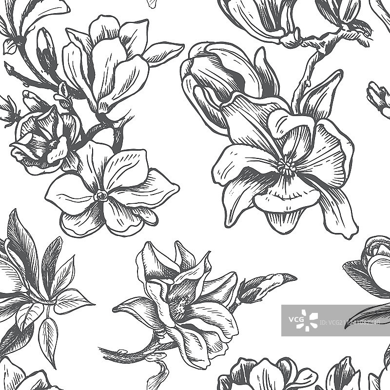 鲜花卡片素描图片素材