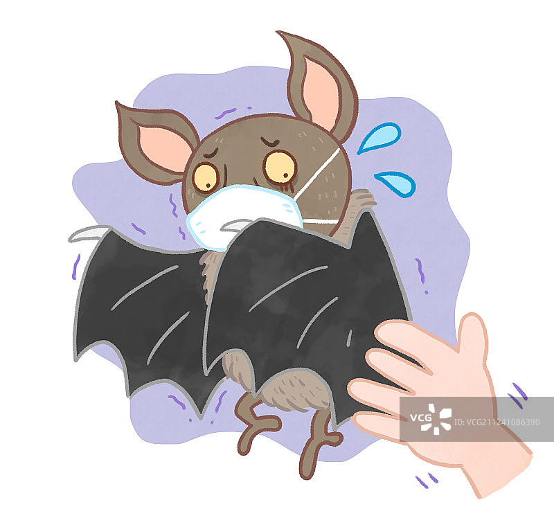 生病戴着口罩的蝙蝠图片素材