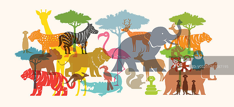 一群野生动物园动物图片素材