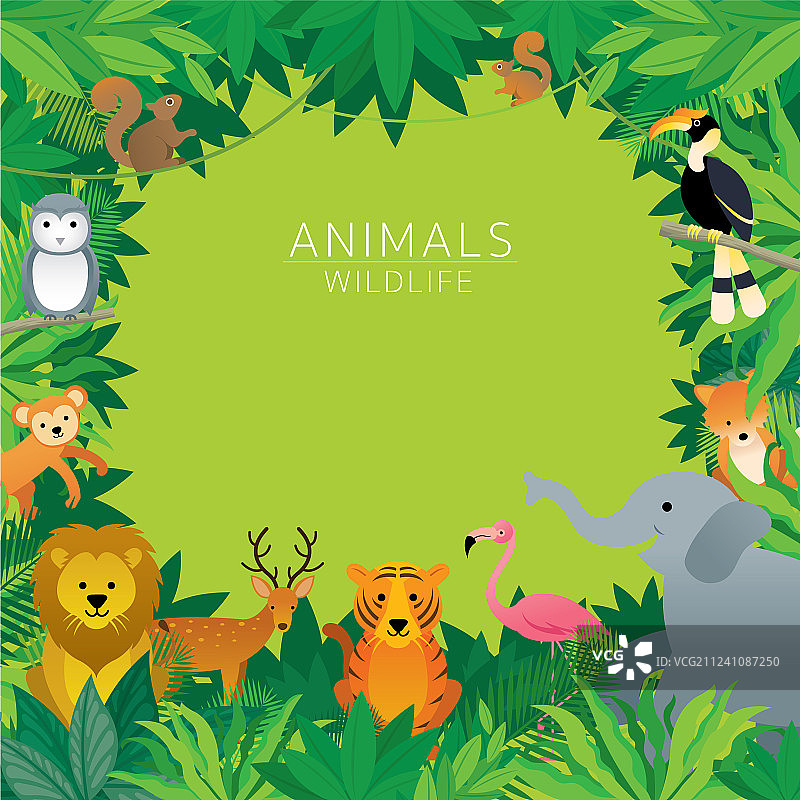 丛林野生动物画框图片素材