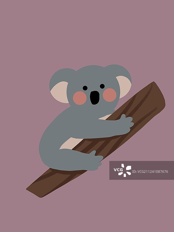 野生动物之考拉图片素材