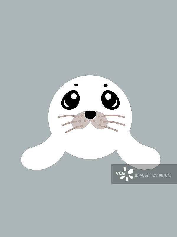 海豹图片素材