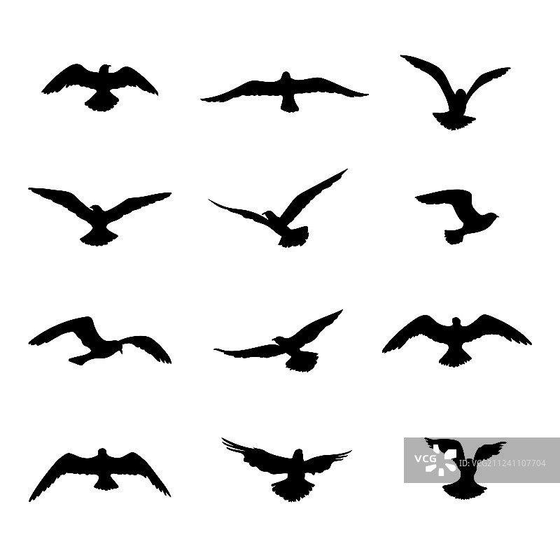 鸟类剪影野生动物图标图片素材