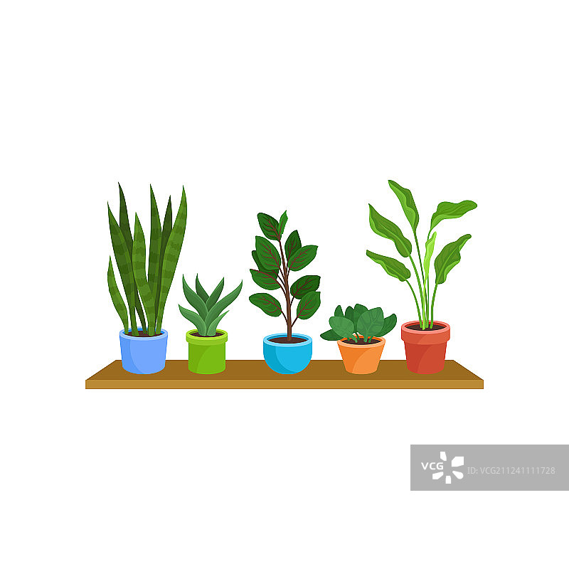 木制背景上的扁平风格室内盆栽图片素材