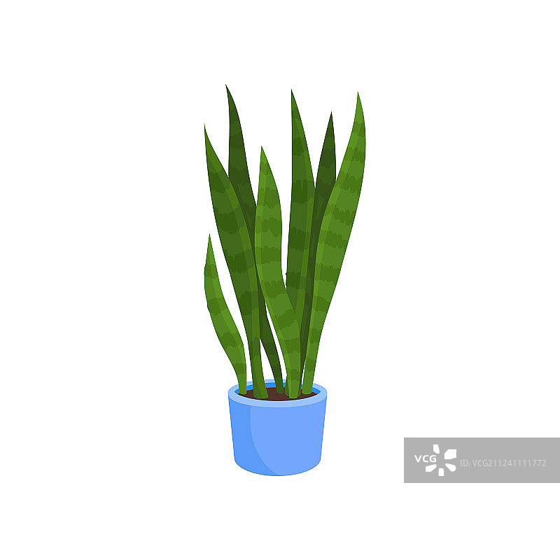 扁平风格的虎尾兰图标图片素材