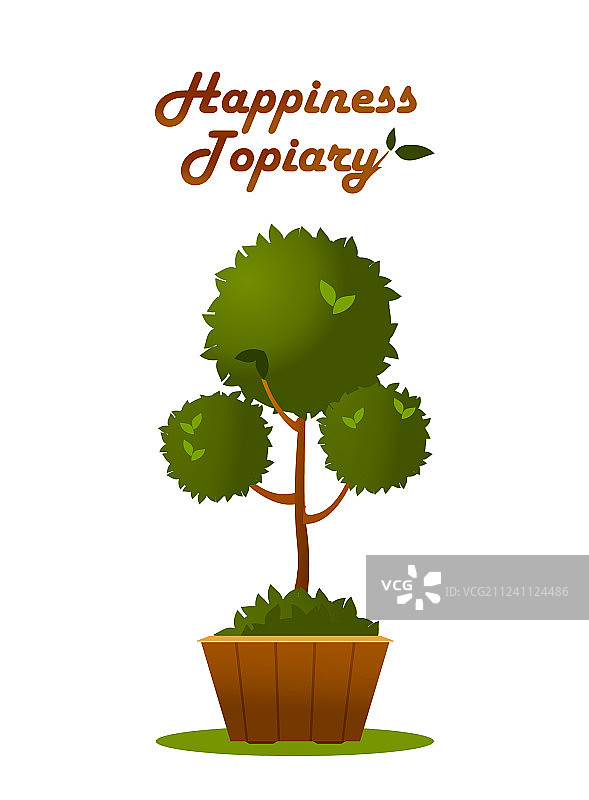 盆栽树木图片素材