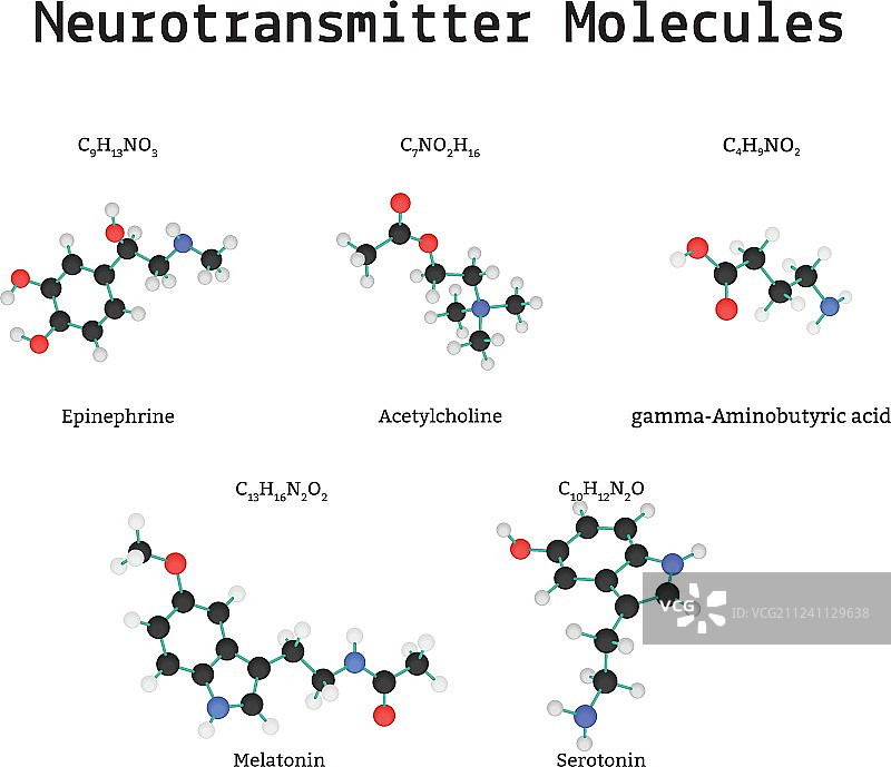 神经递质分子图片素材