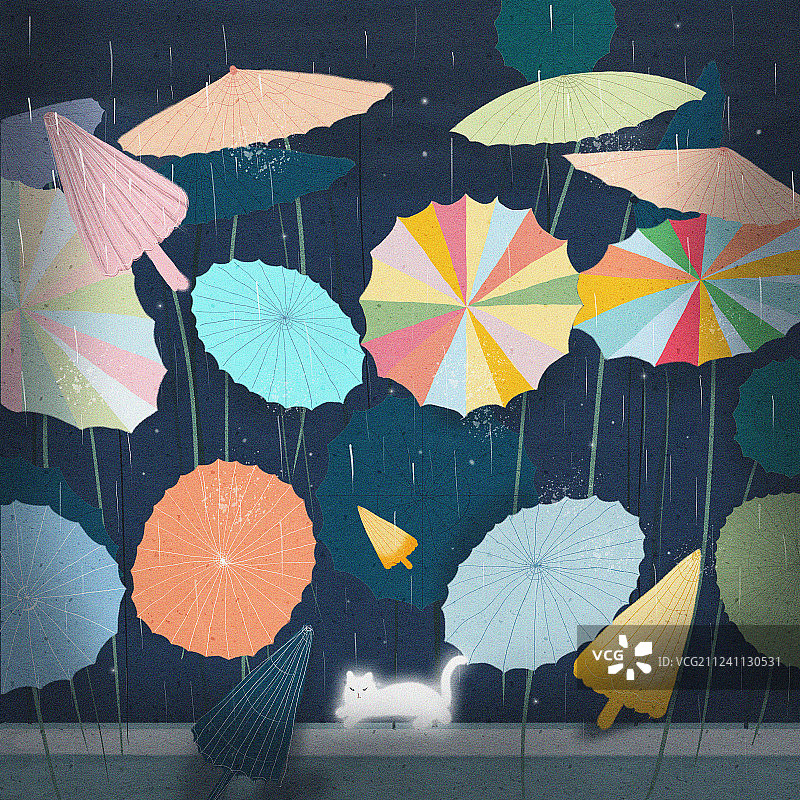 流浪的猫图片素材