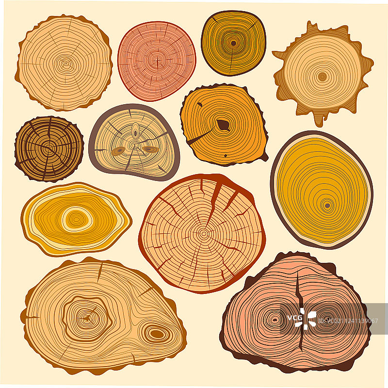 木片纹理树木圆形切割原材料图片素材