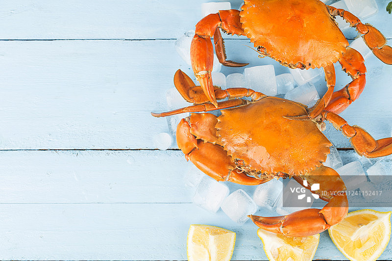 螃蟹图片素材